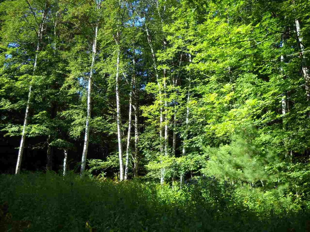 28 Upper Stonehouse Mountain Road Orford NH 03777