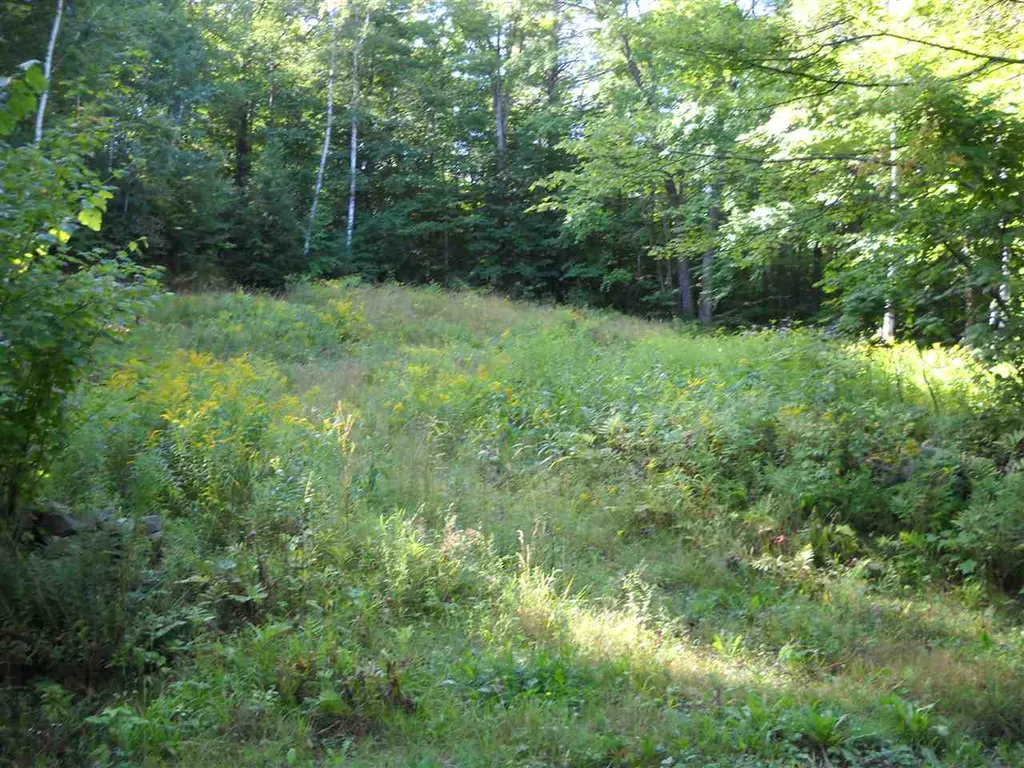28 Upper Stonehouse Mountain Road Orford NH 03777