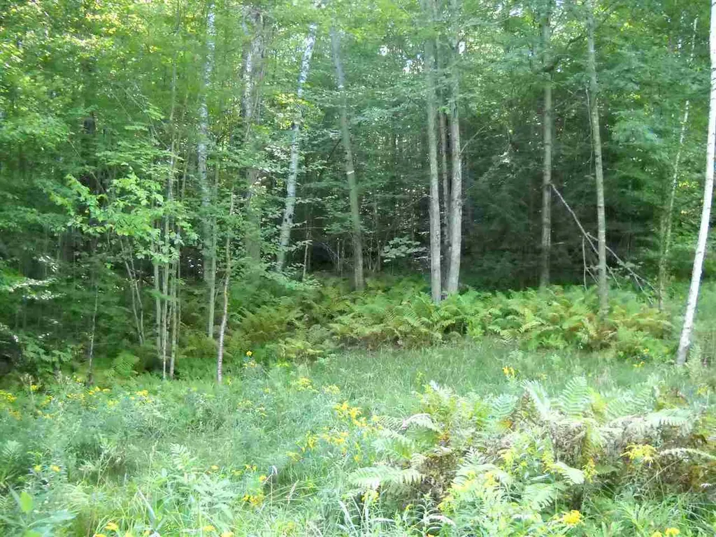 28 Upper Stonehouse Mountain Road Orford NH 03777