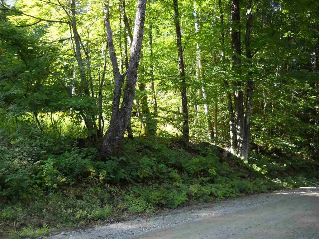 28 Upper Stonehouse Mountain Road Orford NH 03777