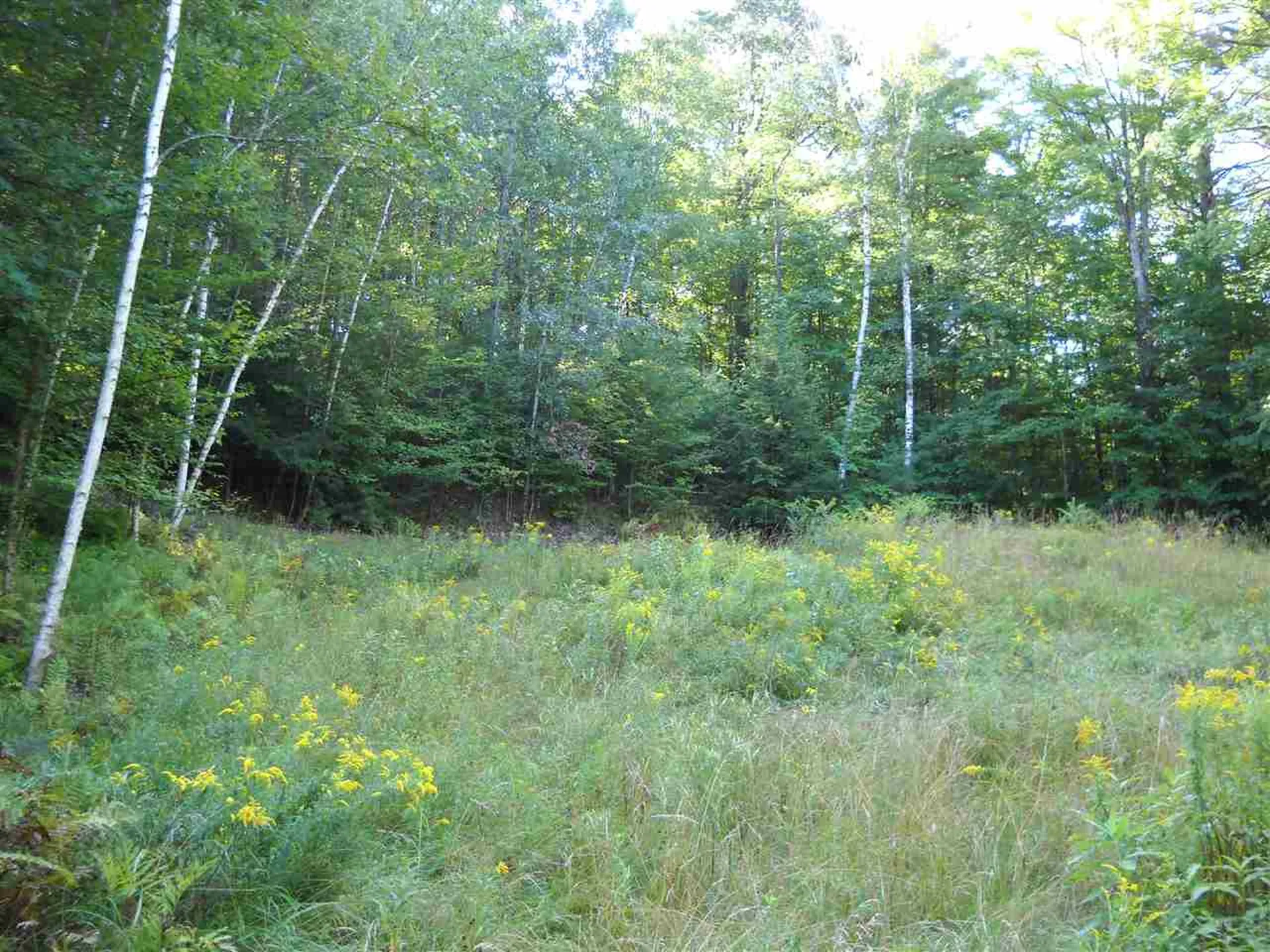 28 Upper Stonehouse Mountain Road Orford NH 03777