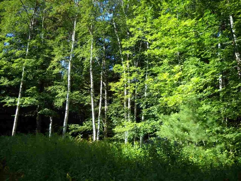 28 Upper Stonehouse Mountain Road Orford NH 03777