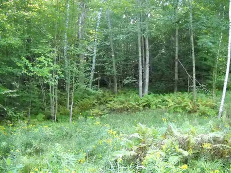 28 Upper Stonehouse Mountain Road Orford NH 03777