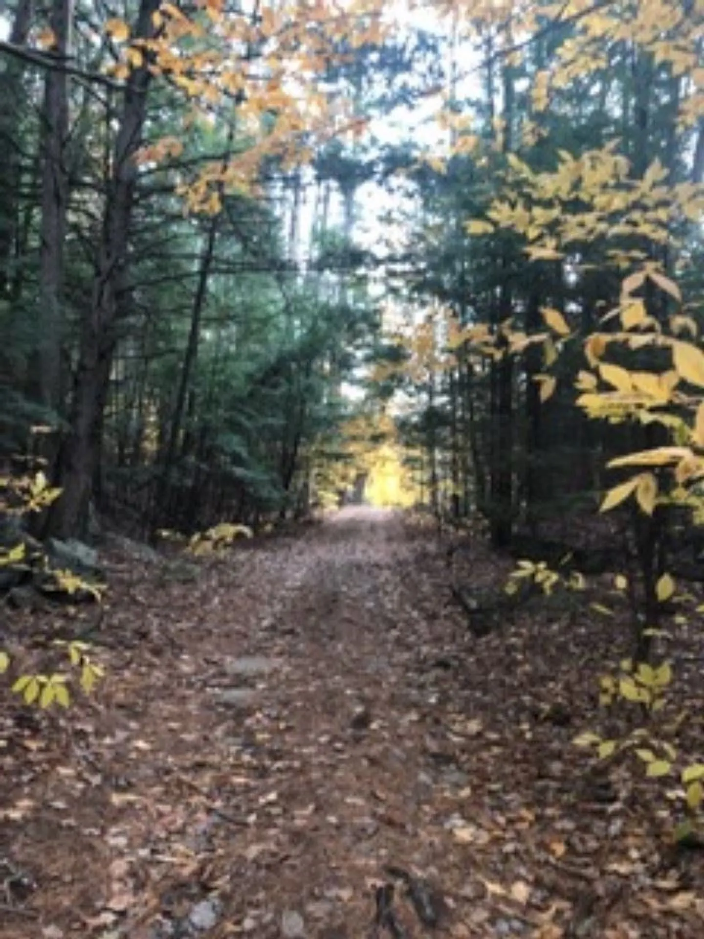 640 River Road Weare NH 03281
