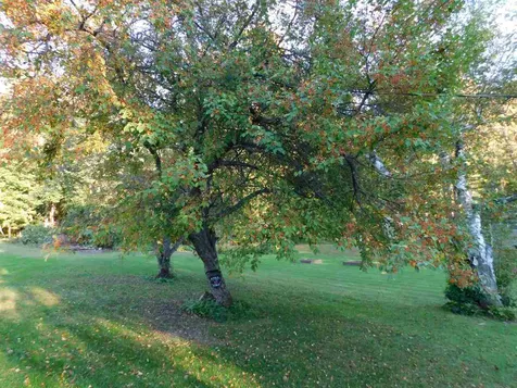 64 Colburn Street Newport City VT 05855