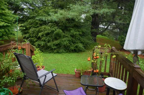 65-1 Brooklyn Heights Road Morristown VT 05661