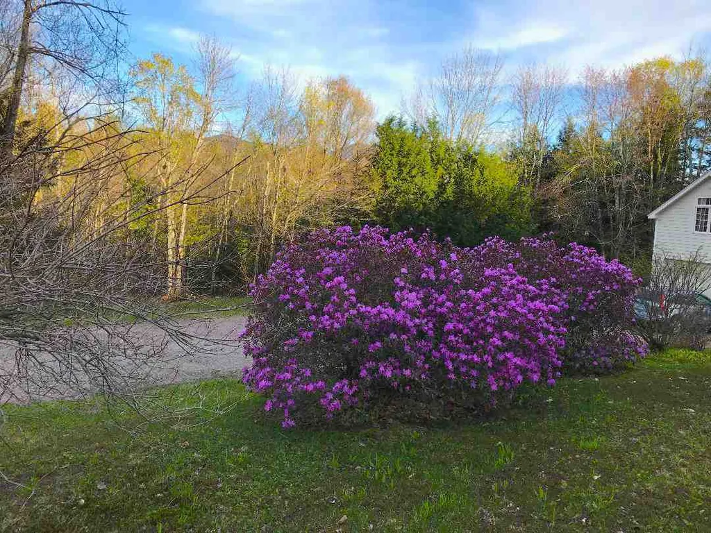 98 Sand Hill Road Underhill VT 05489