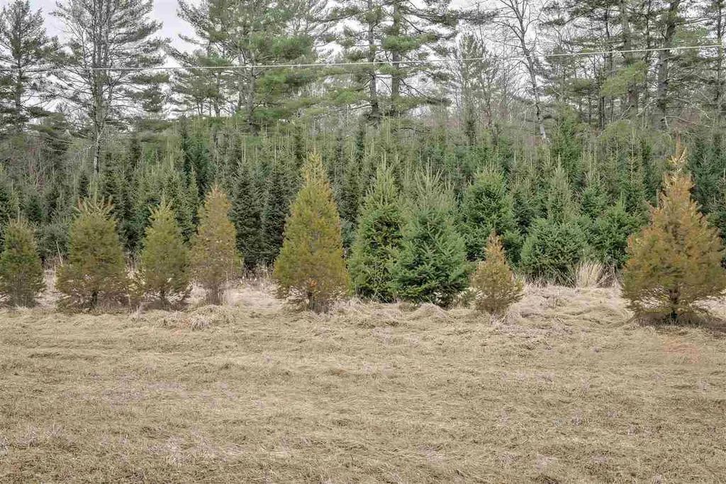 217 Eaton Road Swanzey NH 03446