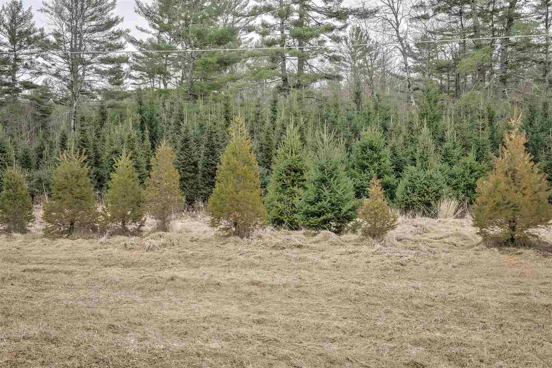 217 Eaton Road Swanzey NH 03446