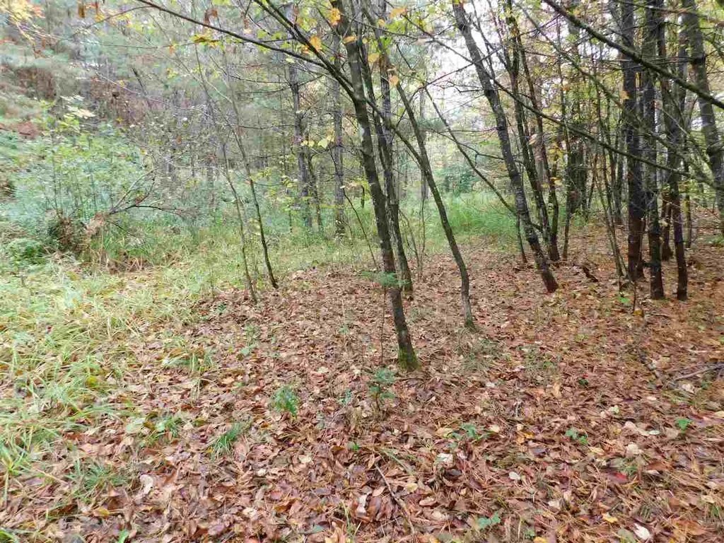 300 Mount Eustis Road Lisbon NH 03585