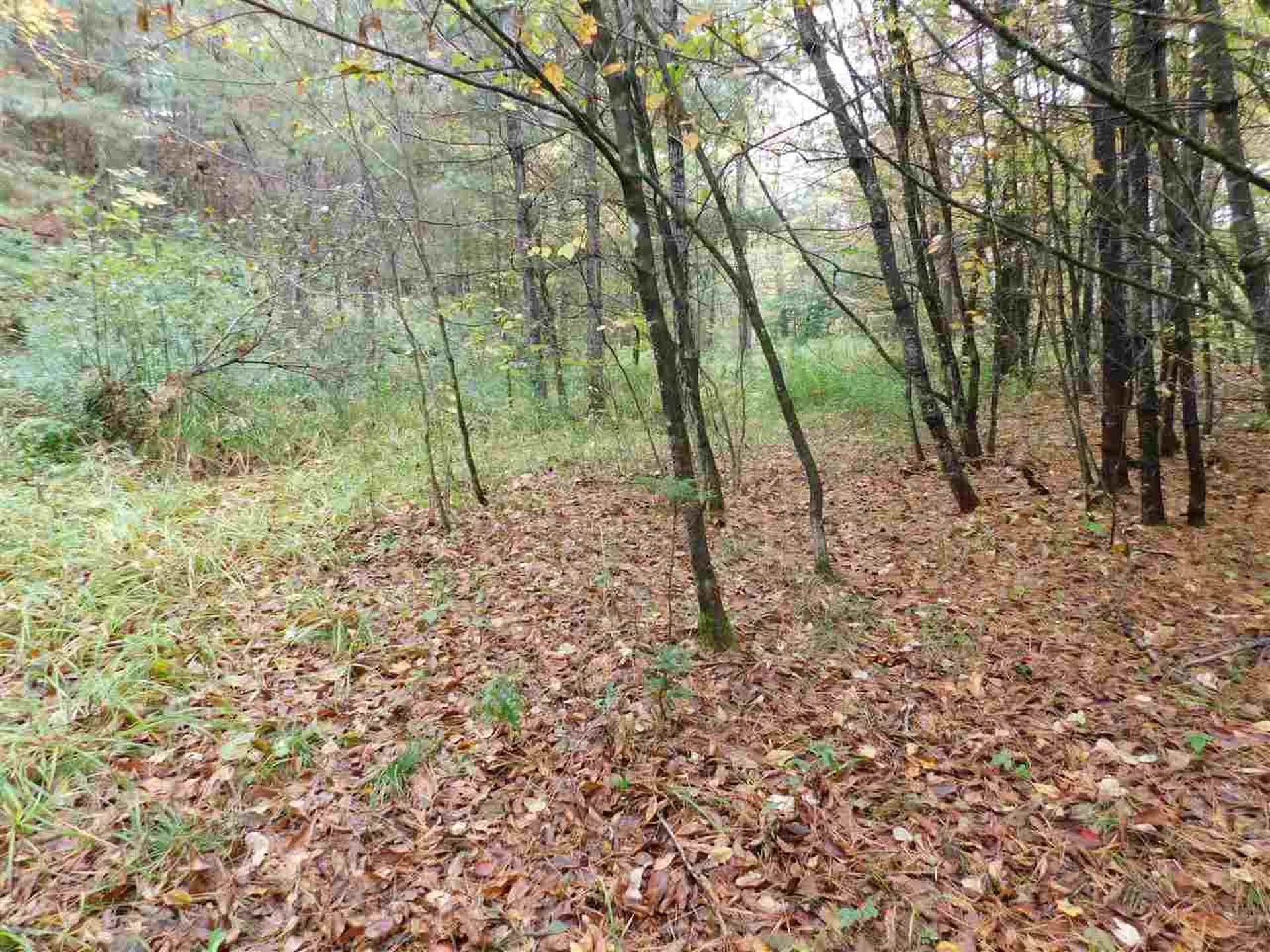 300 Mount Eustis Road Lisbon NH 03585