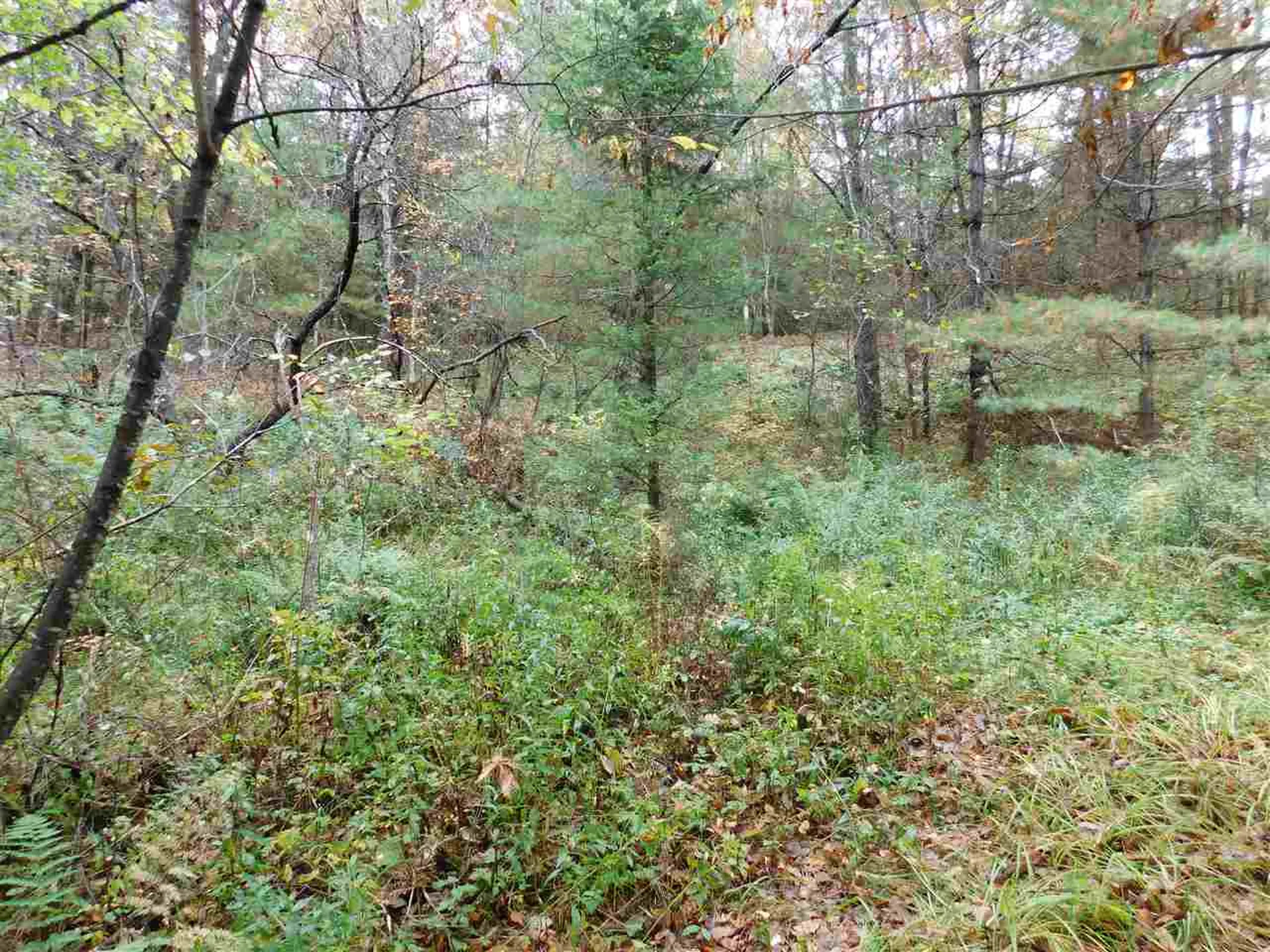 300 Mount Eustis Road Lisbon NH 03585