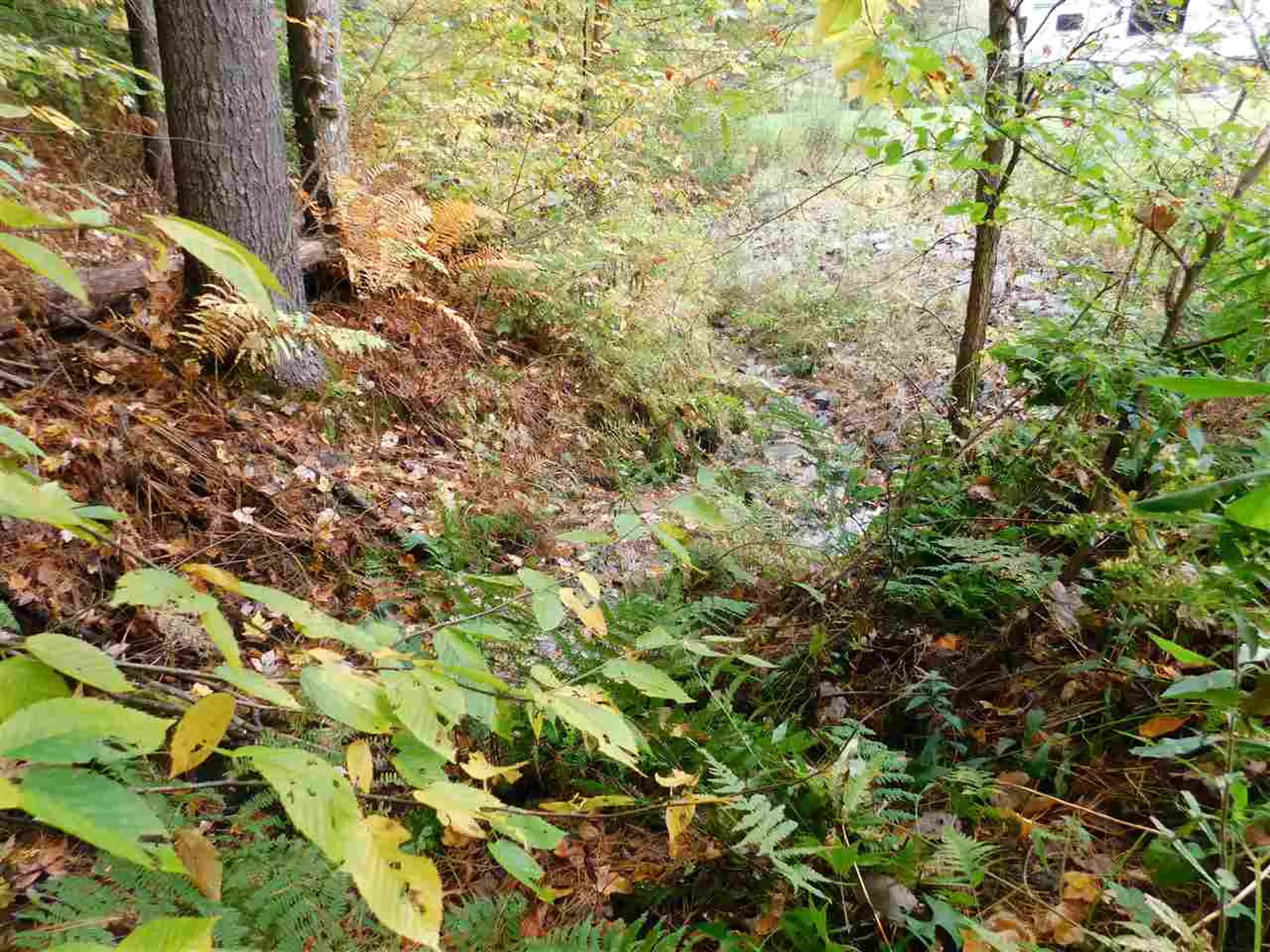 300 Mount Eustis Road Lisbon NH 03585
