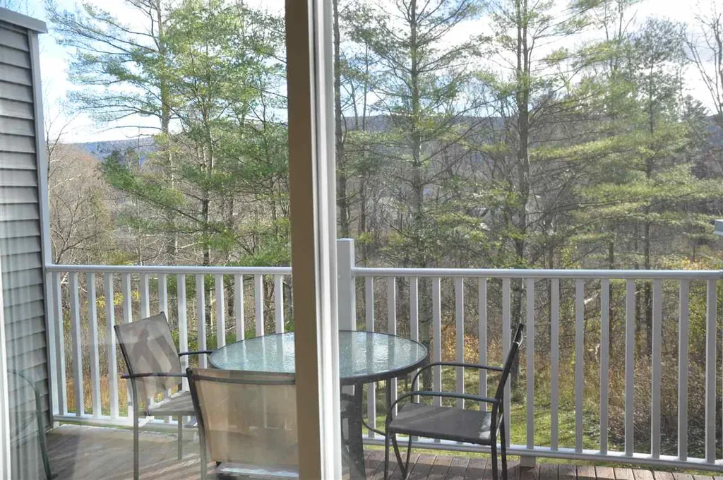 18117 Riverside Townhouses Road Manchester VT 05255