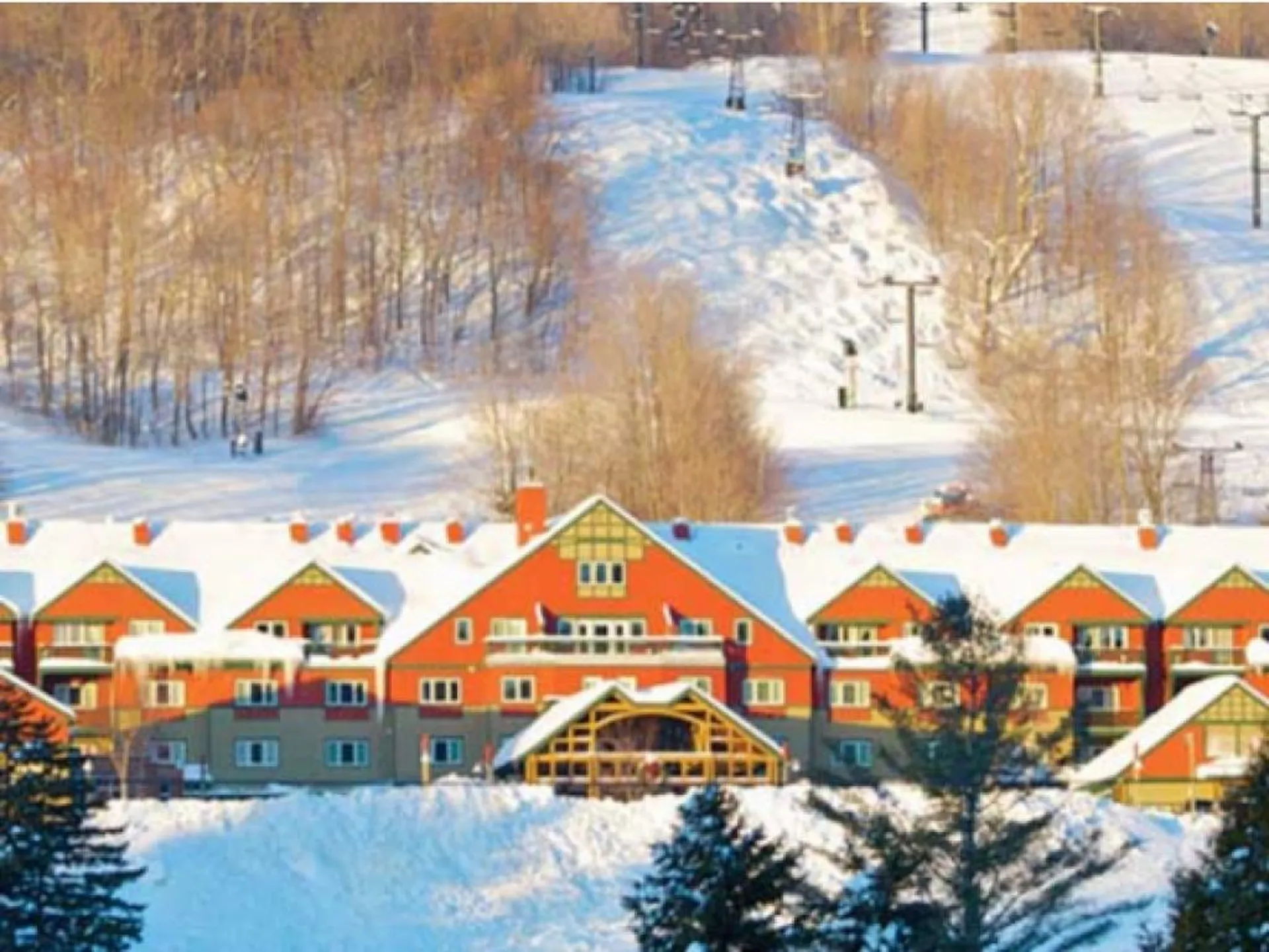 89 Grand Summit Way Dover VT 05356