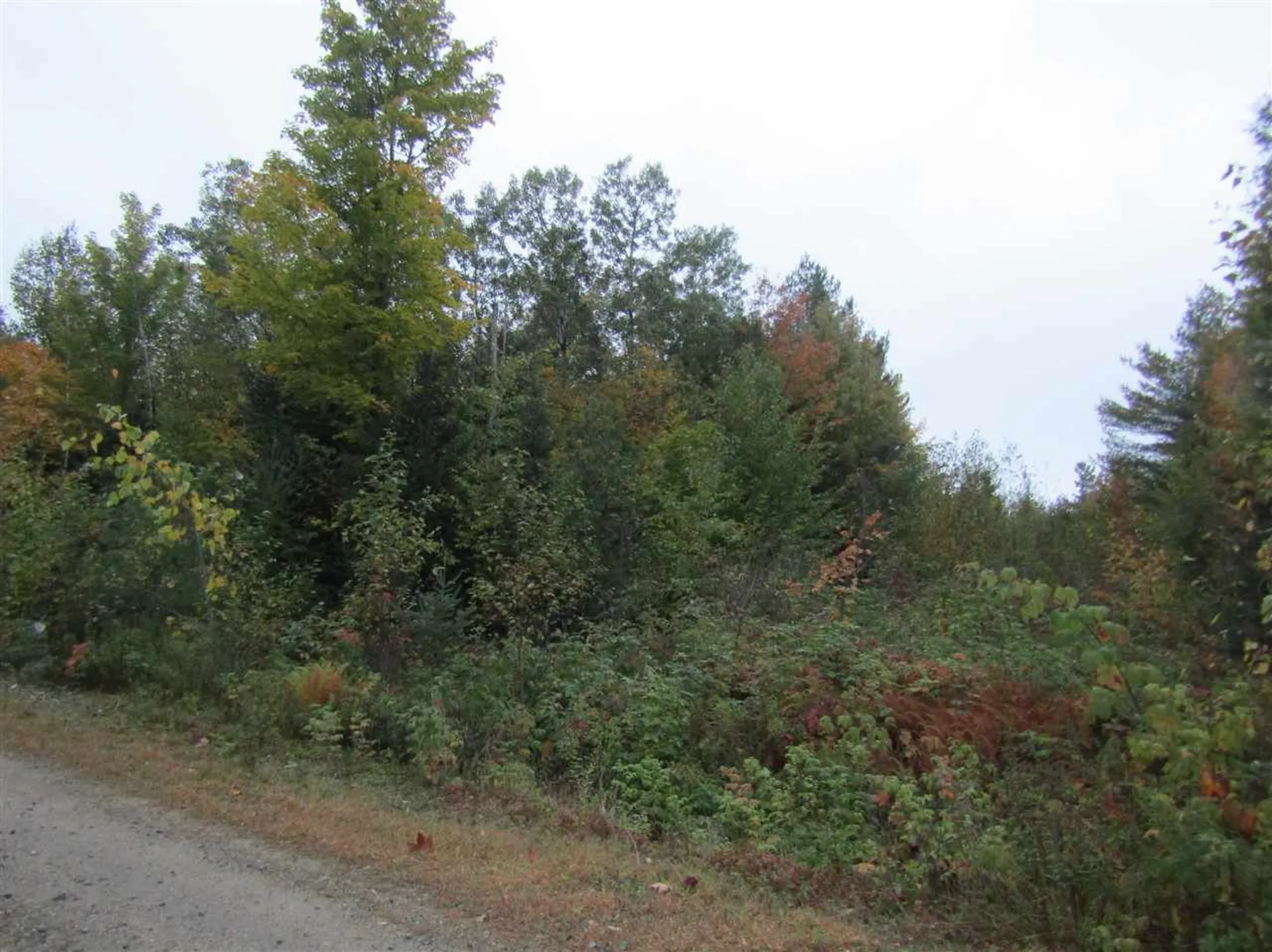 Lot 21 Holbrook Hill Road Stratford NH 03590