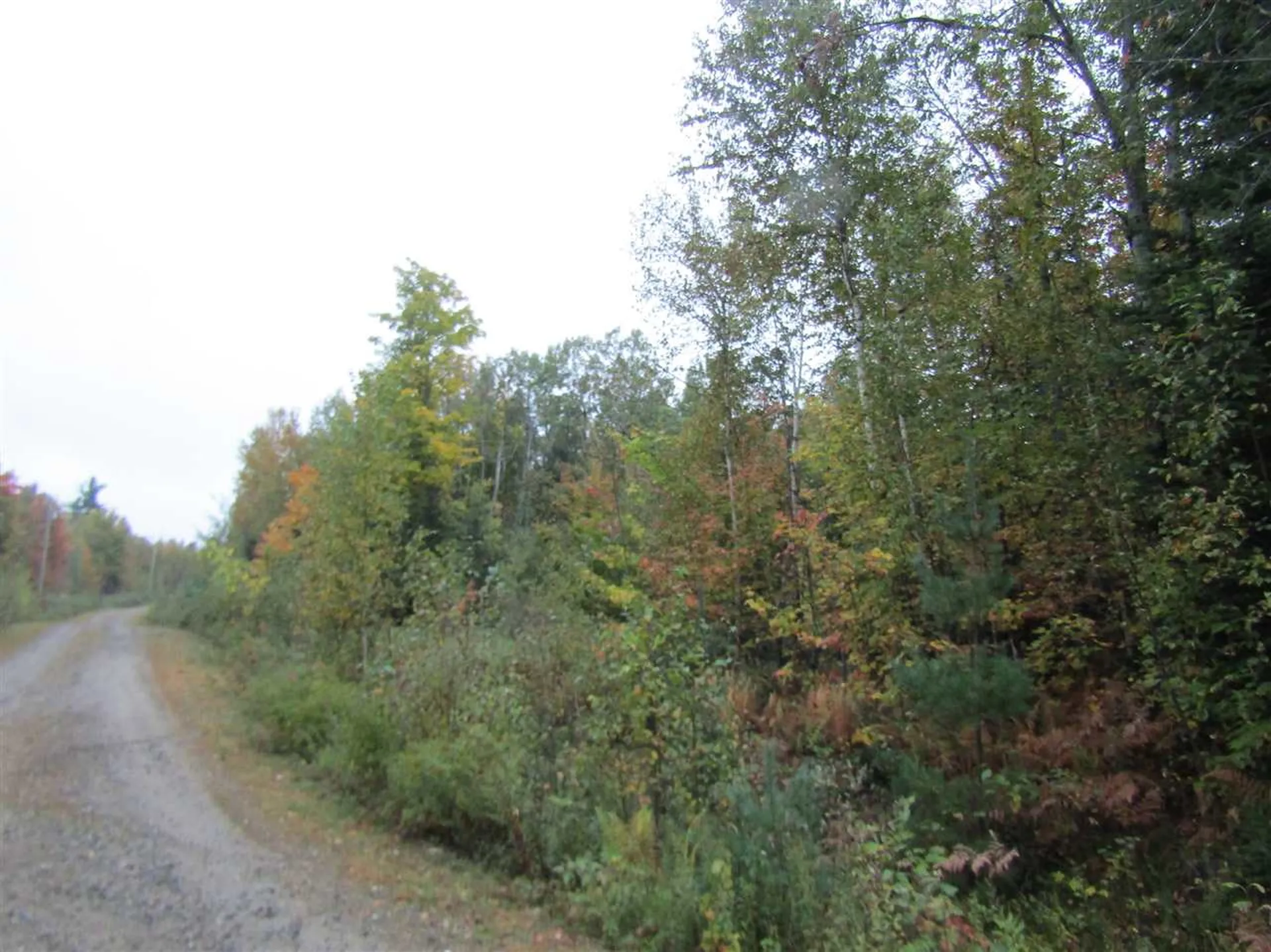 Lot 21 Holbrook Hill Road Stratford NH 03590