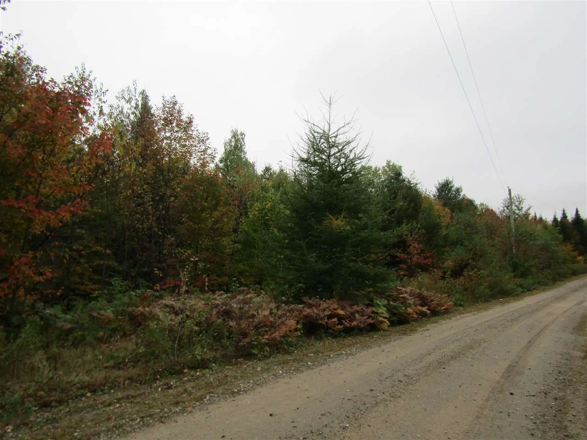 Lot 14 Holbrook Hill Road Stratford NH 03590