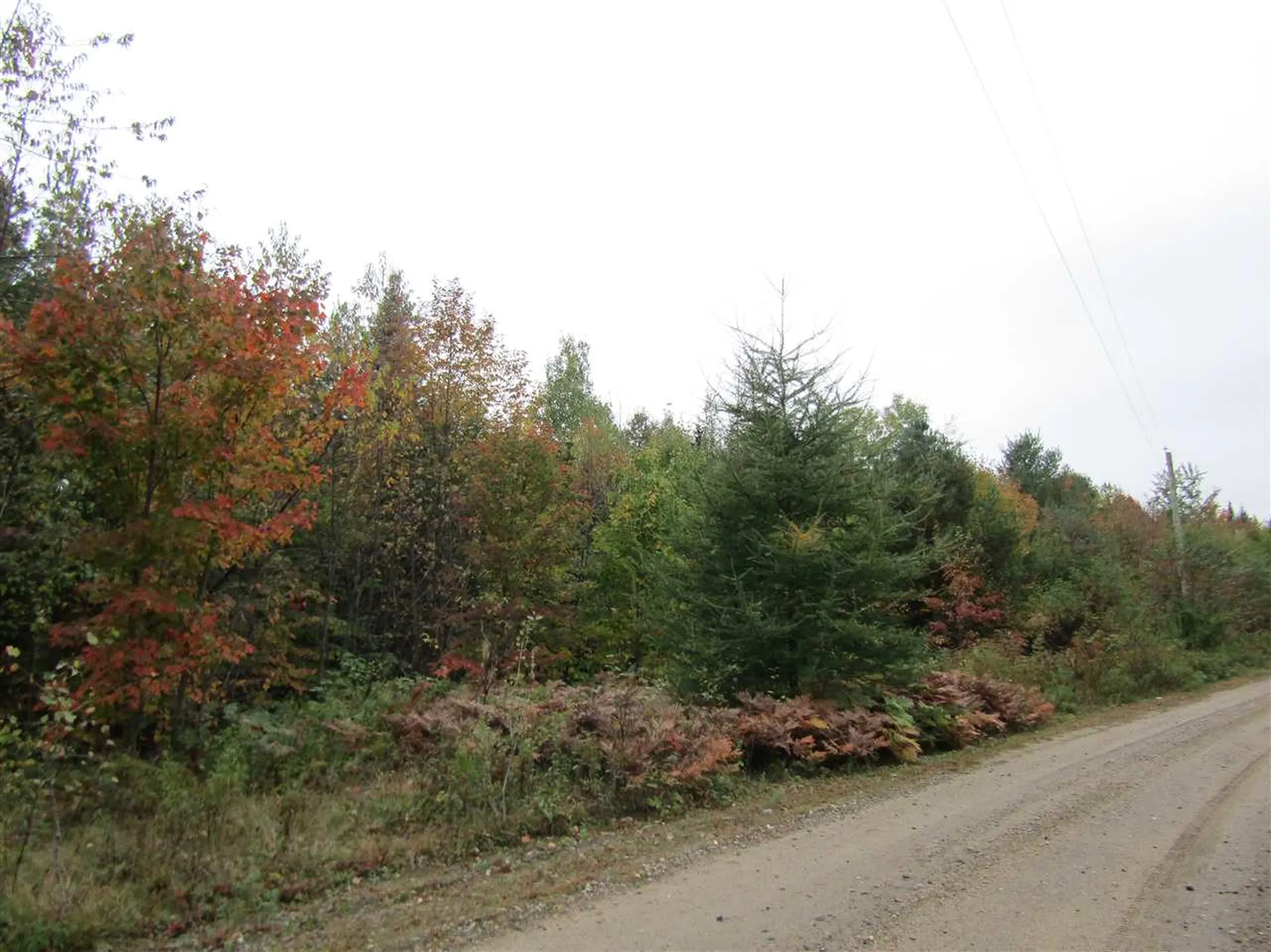 Lot 14 Holbrook Hill Road Stratford NH 03590