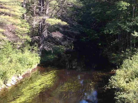 8 Bean Smith Drive Effingham NH 03882