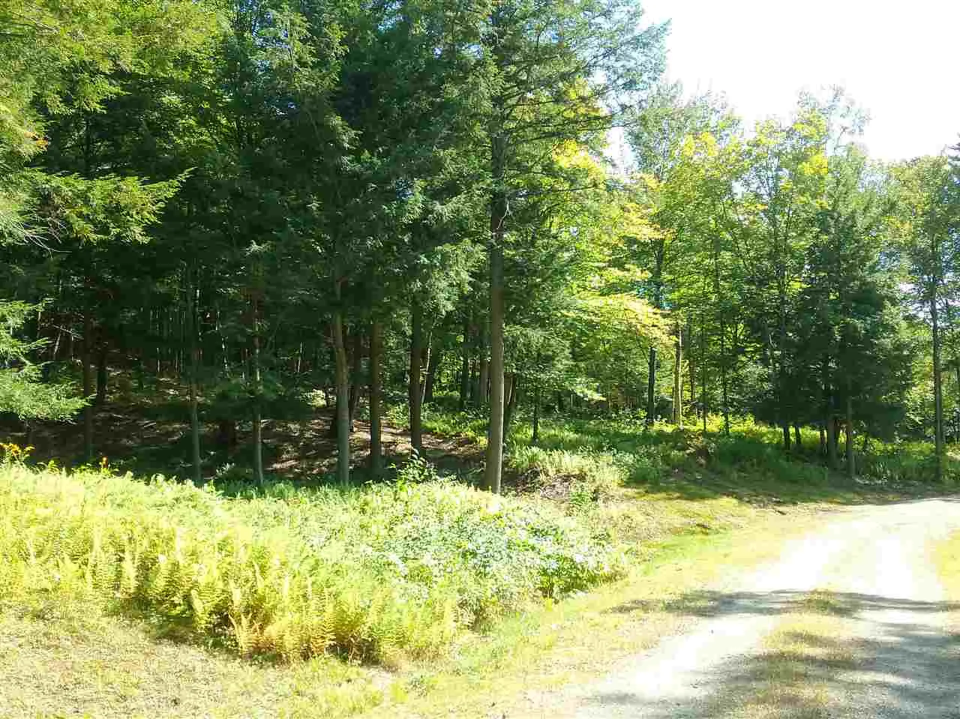 0 Wood Farm Road Waterbury VT 05676