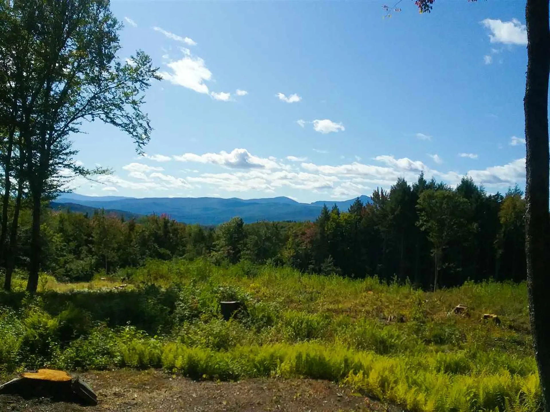0 Wood Farm Road Waterbury VT 05676