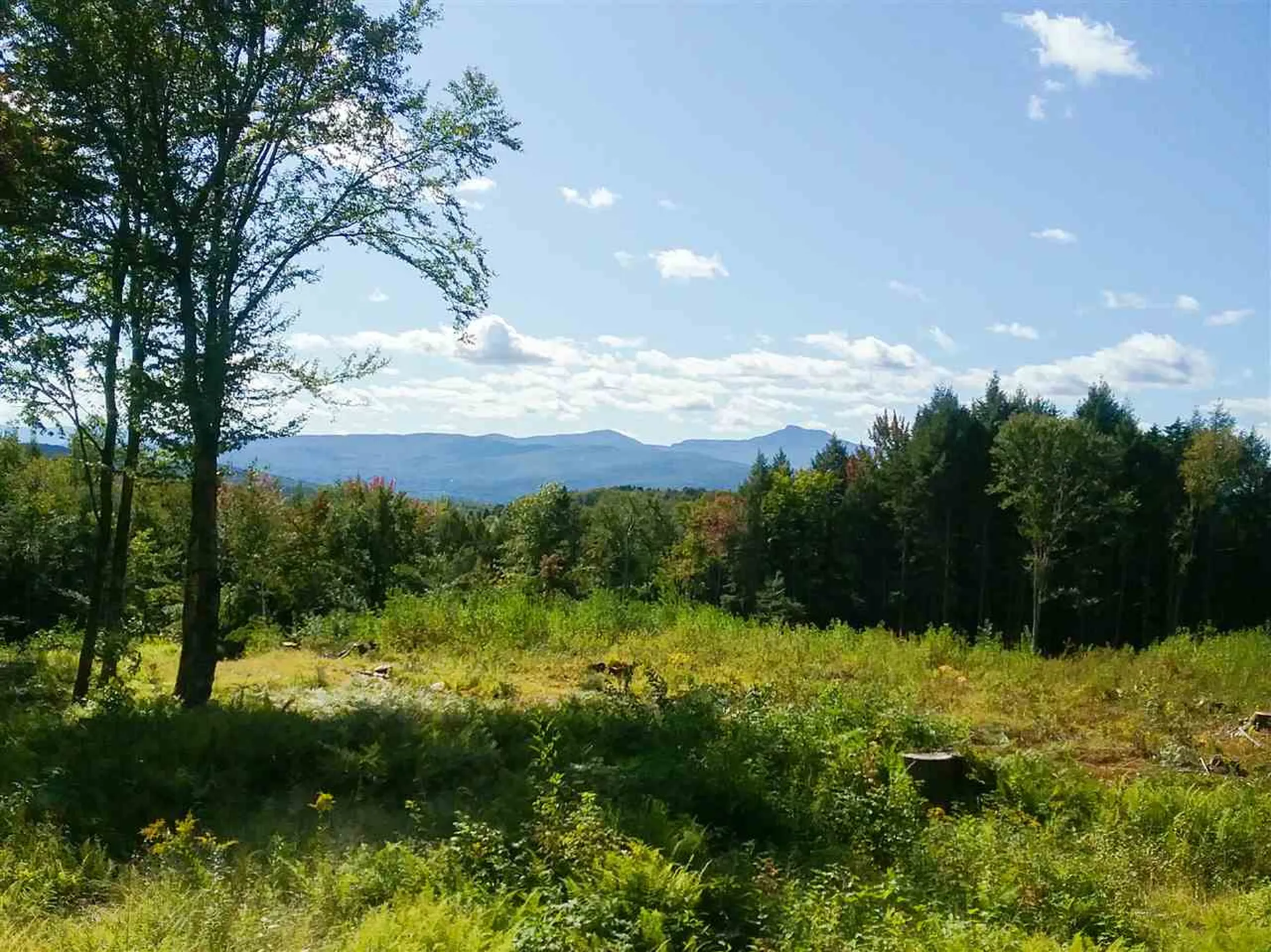 0 Wood Farm Road Waterbury VT 05676