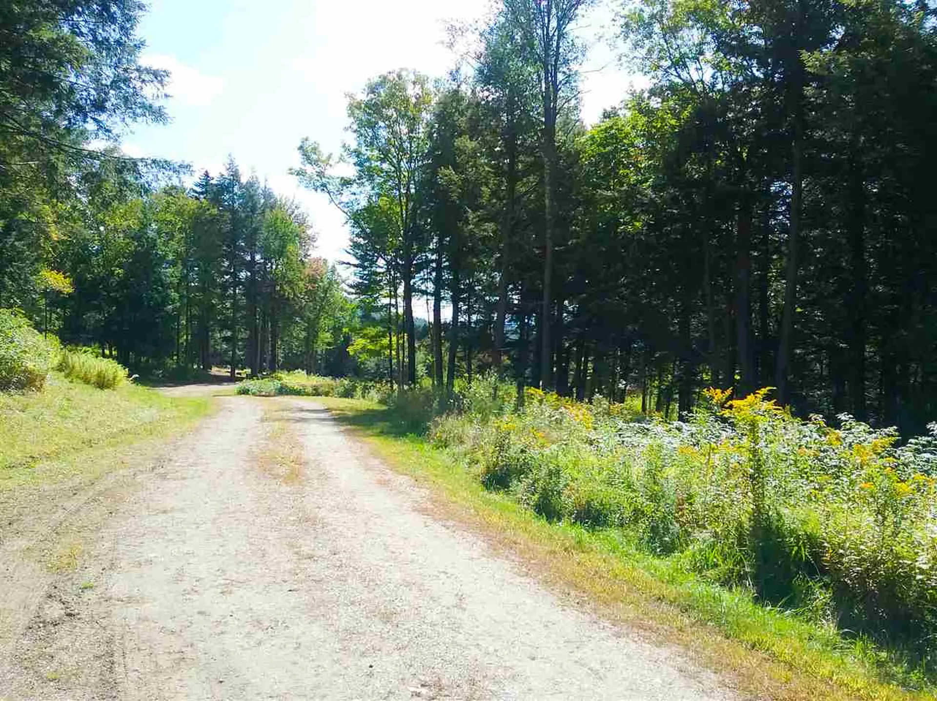 0 Wood Farm Road Waterbury VT 05676