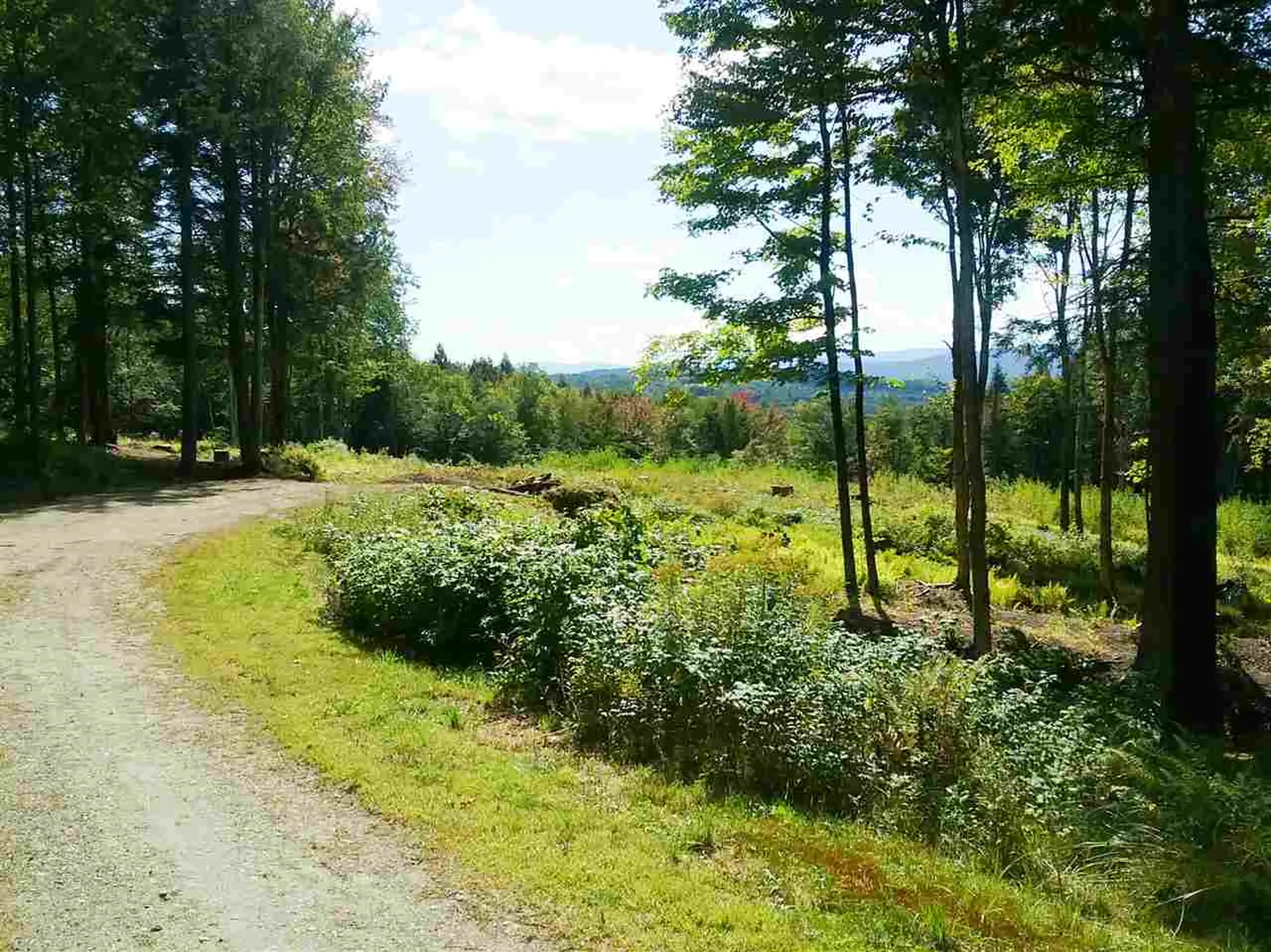 0 Wood Farm Road Waterbury VT 05676