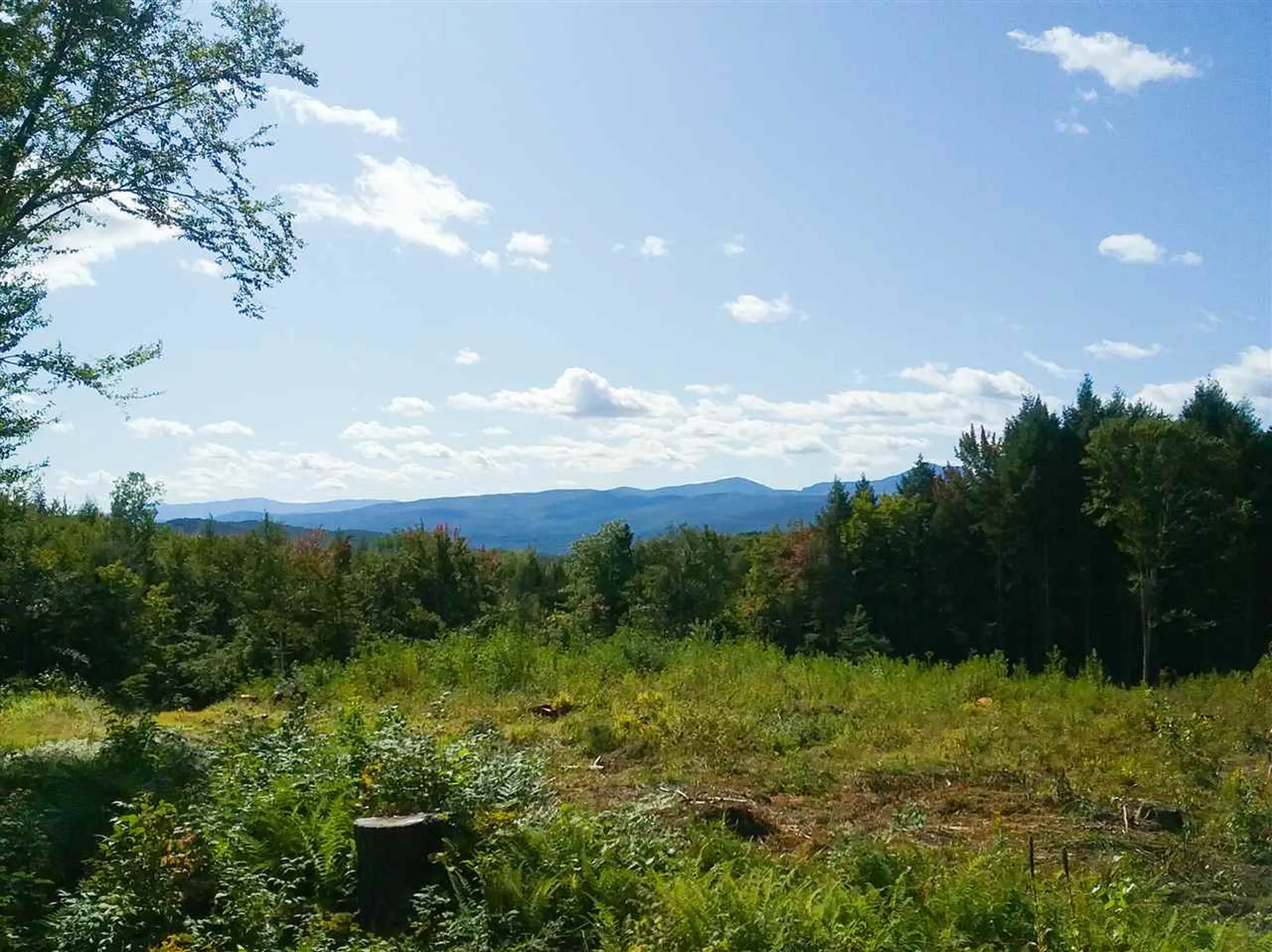 0 Wood Farm Road Waterbury VT 05676