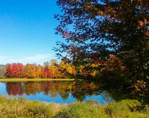 187 Black Bear Run Stowe VT 05672