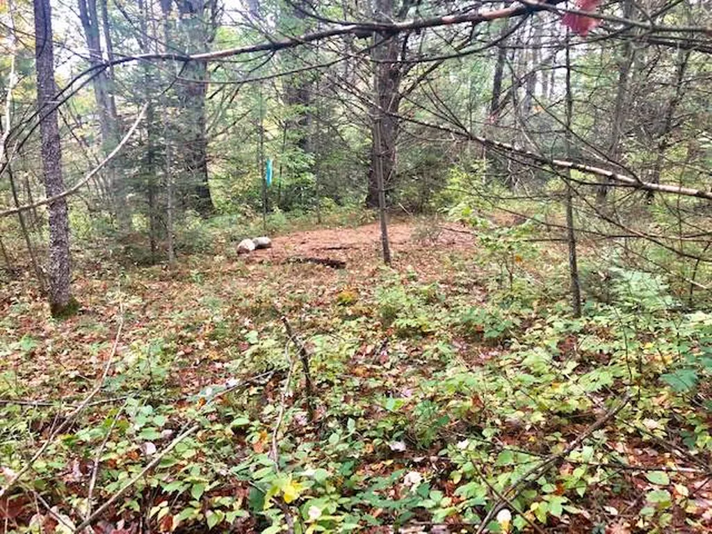 34 County Road Haverhill NH 03774