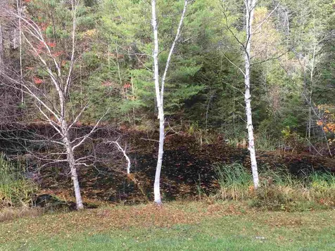 335 Hide And Seek Road Peru VT 05152