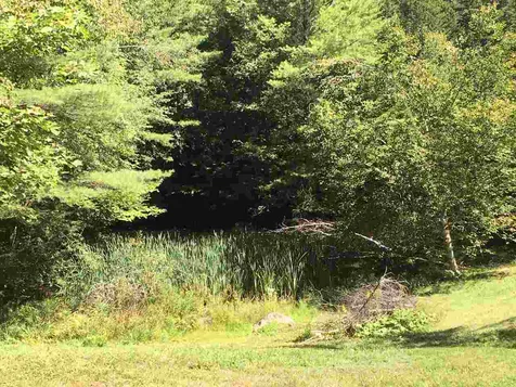 335 Hide And Seek Road Peru VT 05152