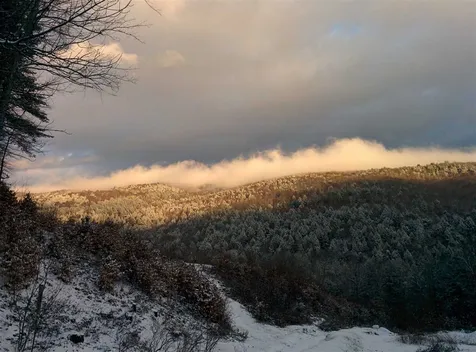 102 Whitney Hill Road Brookline VT 05345