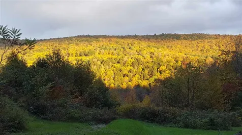 102 Whitney Hill Road Brookline VT 05345