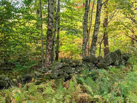 102 Whitney Hill Road Brookline VT 05345