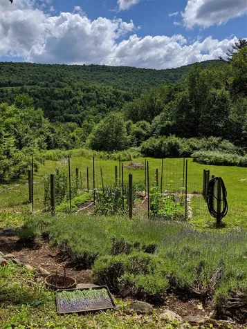 102 Whitney Hill Road Brookline VT 05345