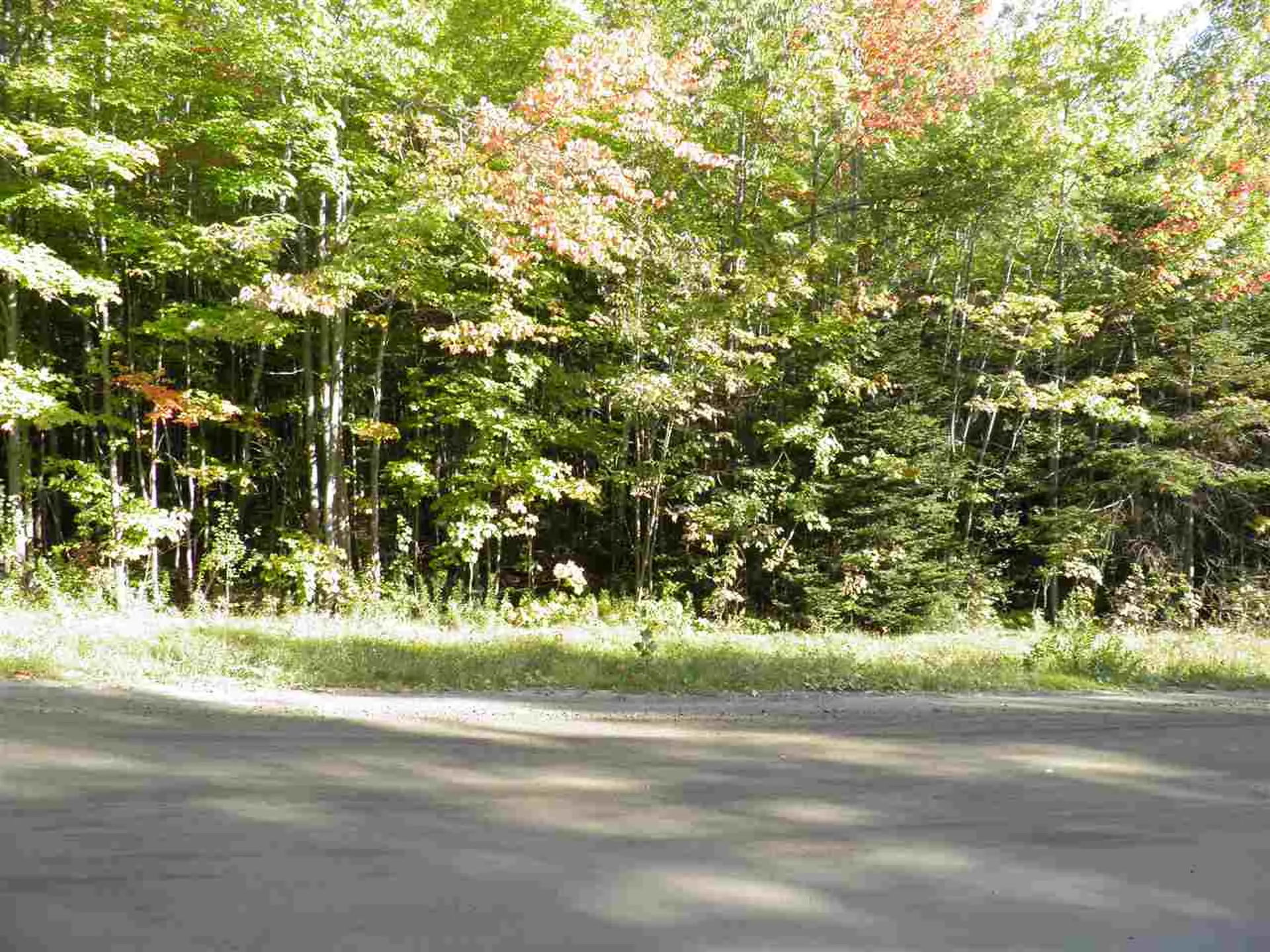 Roxbury Mountain Road Roxbury VT 05669