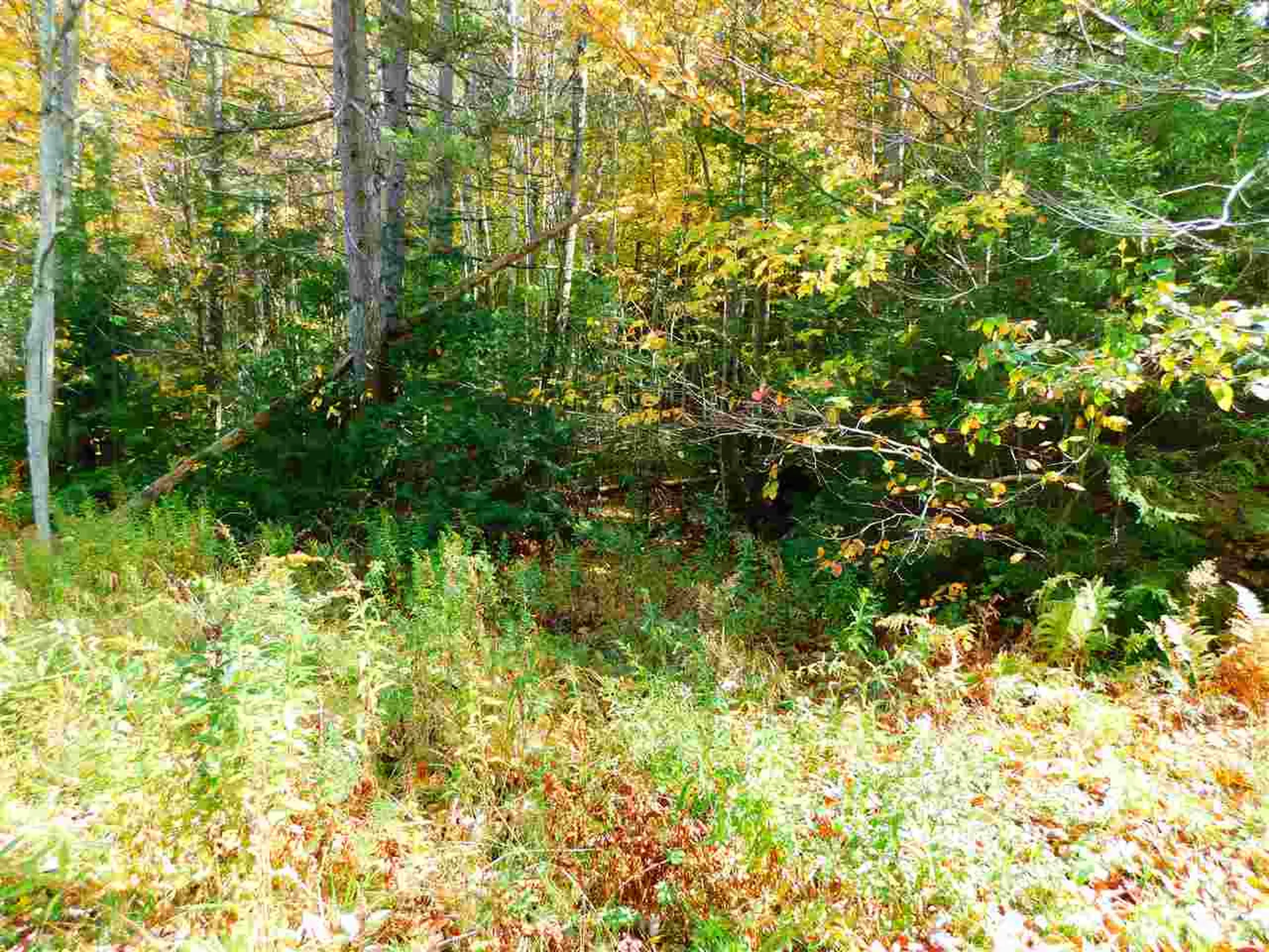 99 Dorr Fitch Road Dover VT 05341