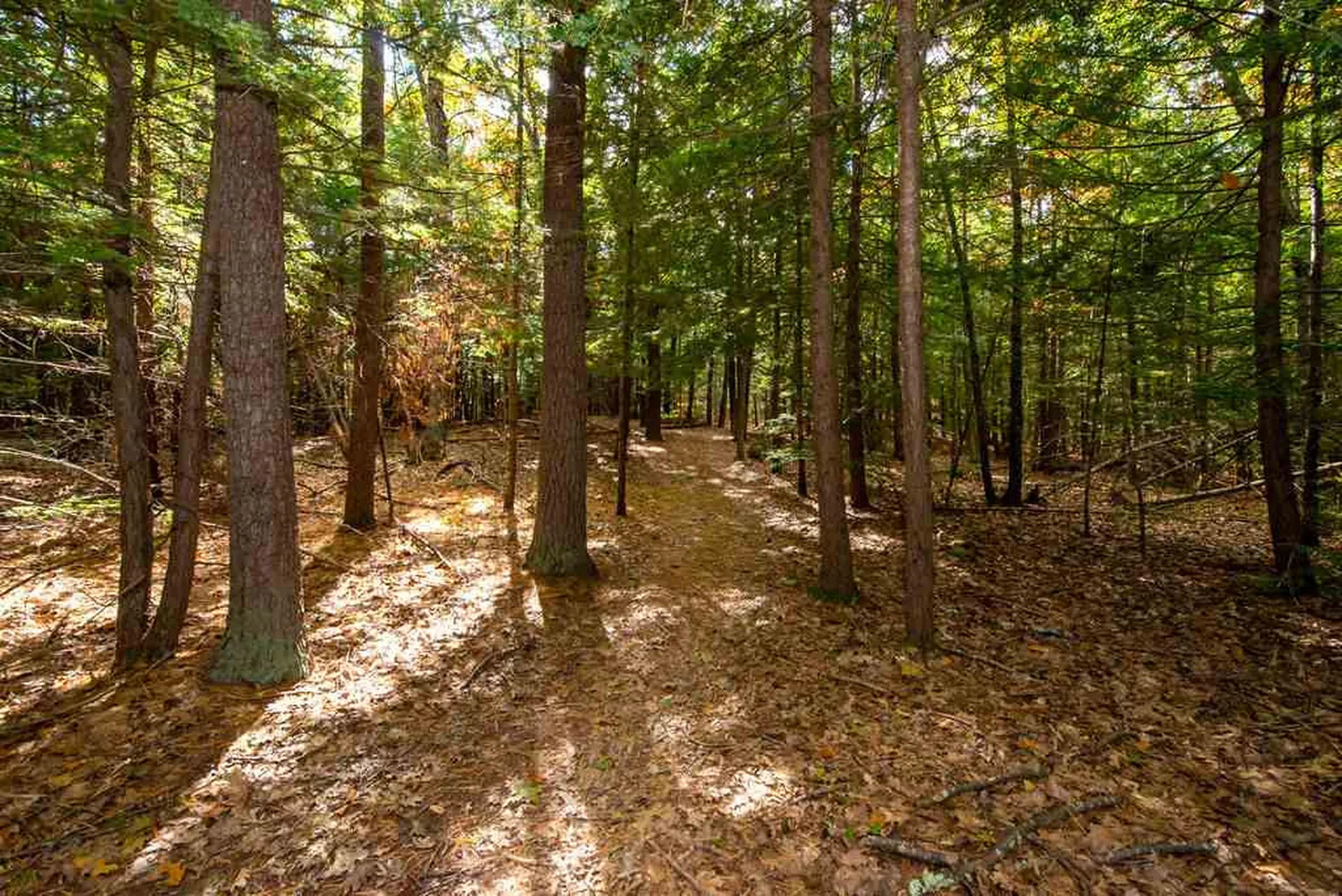 74 Watson Road Exeter NH 03833