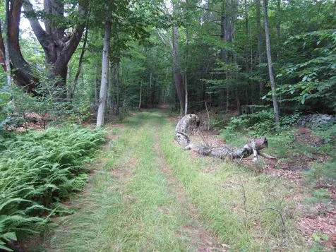40 Barrus Road Richmond NH 03470