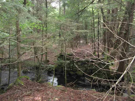 40 Barrus Road Richmond NH 03470