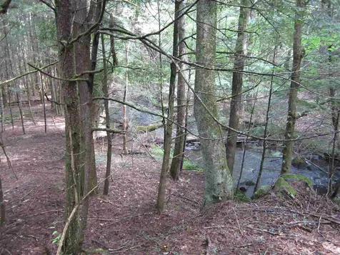 40 Barrus Road Richmond NH 03470