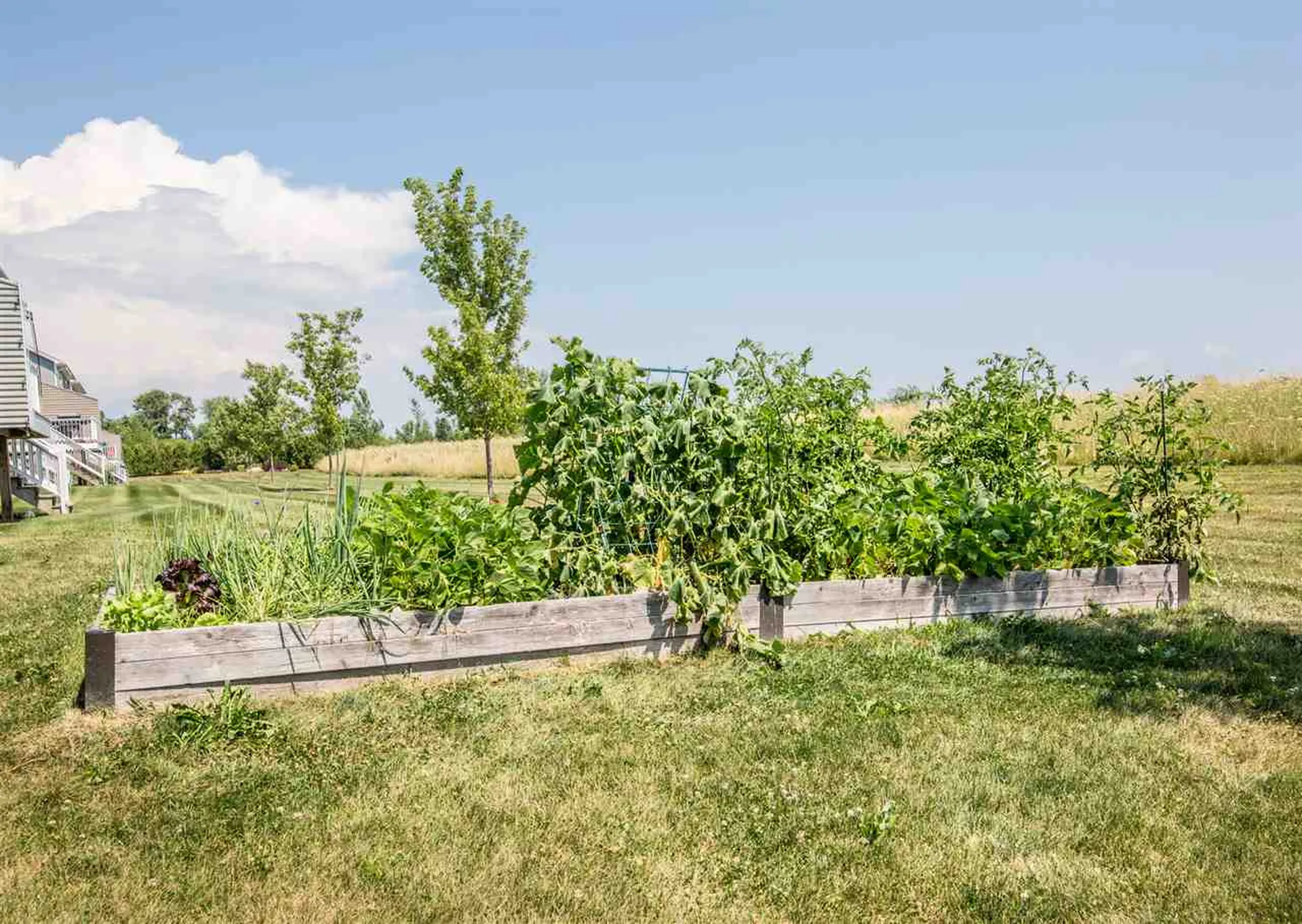 59 Winesap Lane South Burlington VT 05403