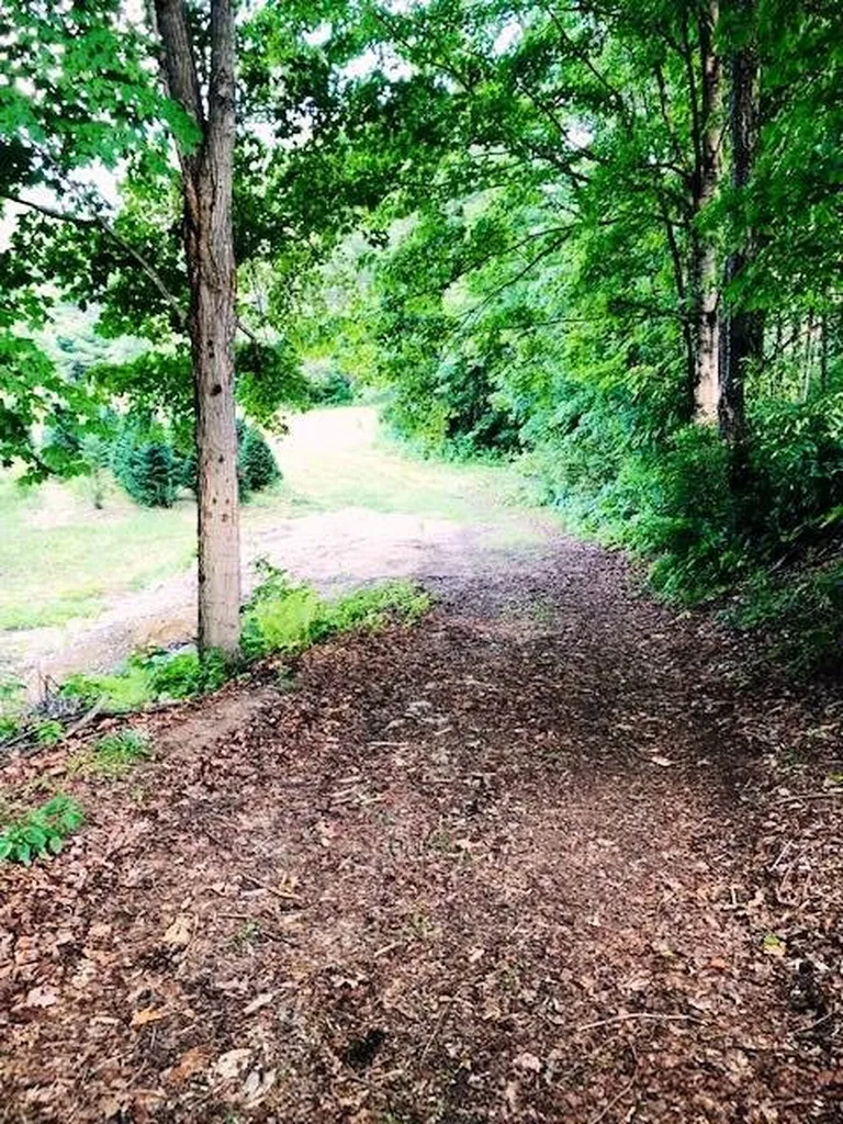 3260 US Route 3, Thornton, NH 03285 Wooded area 3260 US Route 3, Thornton, NH 03285 Alpine Lakes Real Estate
