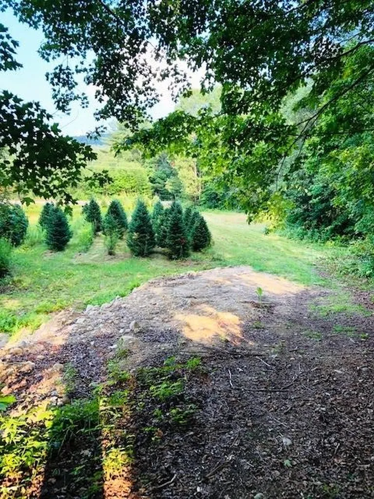 3260 US Route 3, Thornton, NH 03285 Wooded area 3260 US Route 3, Thornton, NH 03285 Alpine Lakes Real Estate