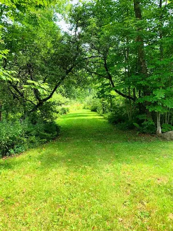 160 Philbrick Hill Road Springfield NH 03284