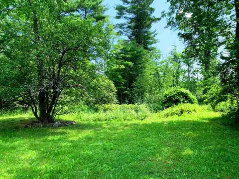 160 Philbrick Hill Road Springfield NH 03284