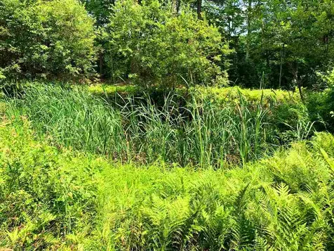160 Philbrick Hill Road Springfield NH 03284